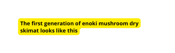 The first generation of enoki mushroom dry skimat looks like this